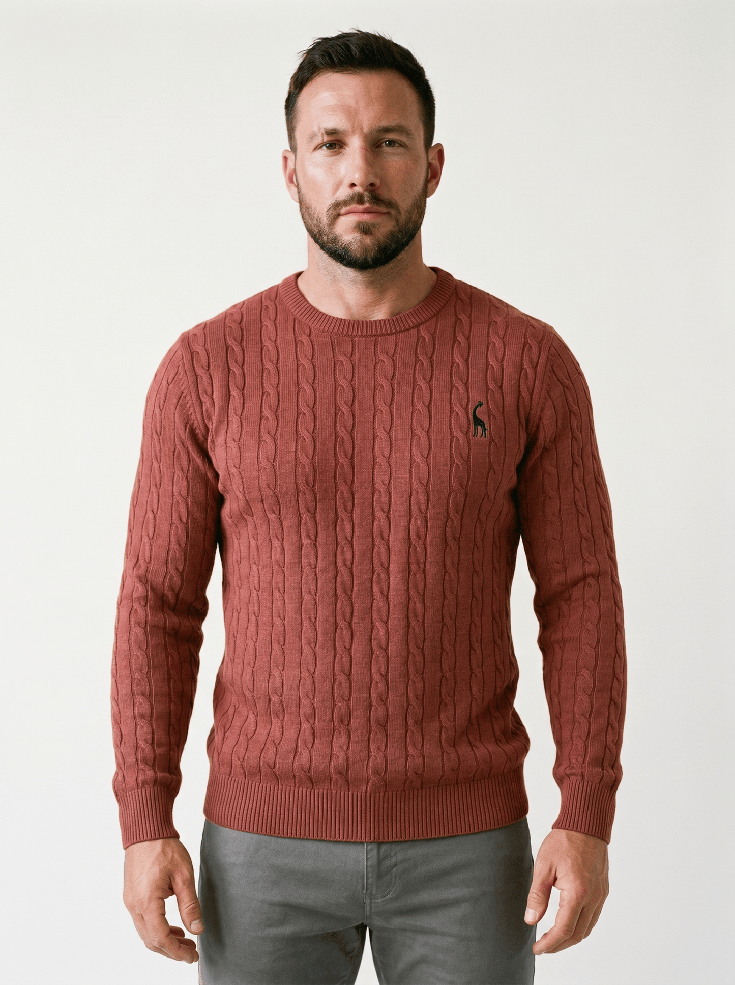 Crew-Neck Cable Knit Mens Sweater - vencé